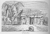 A native hut.